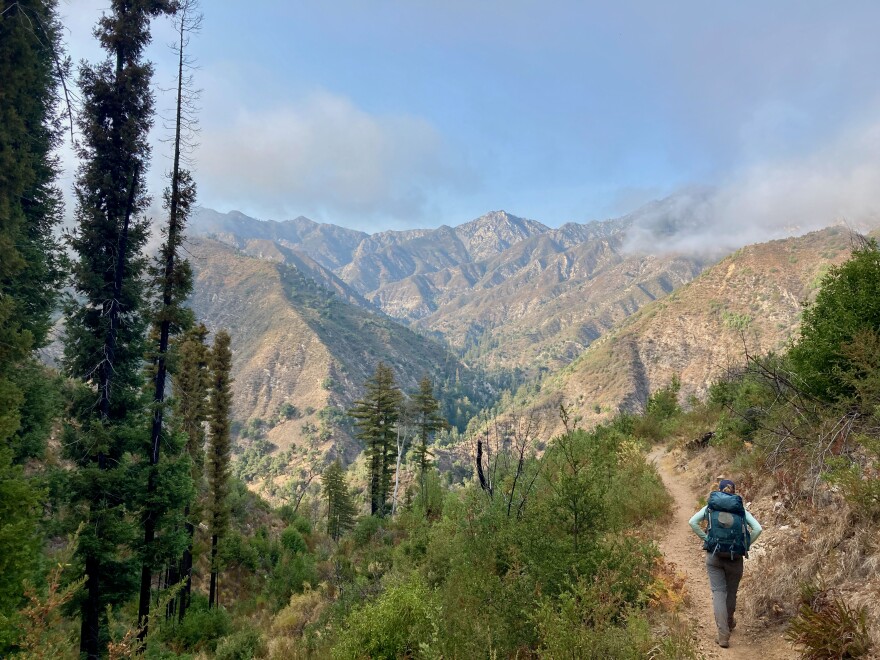 The popular Pine Ridge Trail in the Los Padres National Forest is included in the order that shutdown all California National Forests through Sept. 17