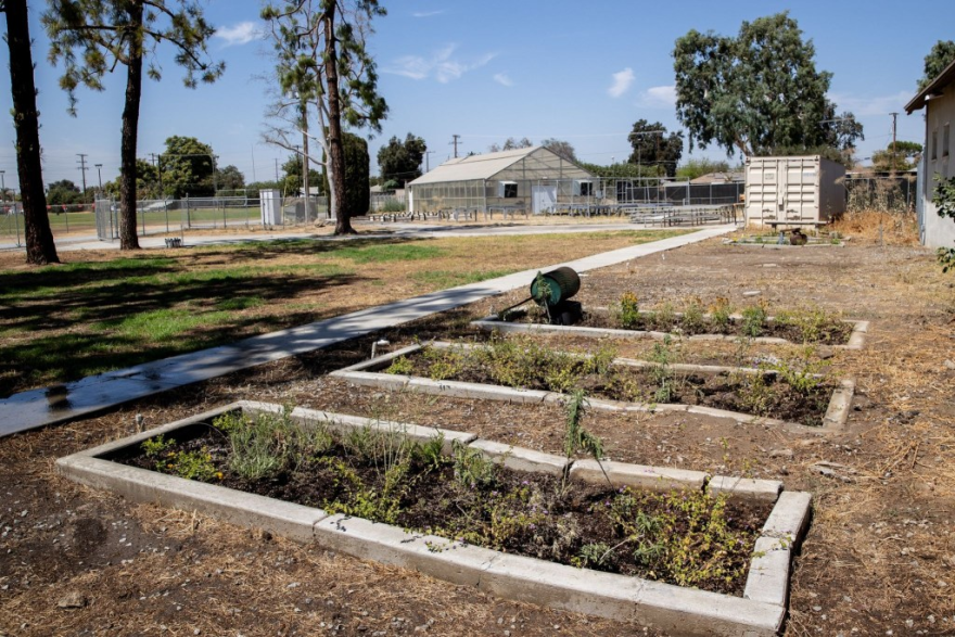 Ferreira’s students restored their on-campus farm to build a monarch butterfly sanctuary.