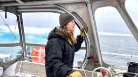 Caroline Van Hemert, pictured above sailing in Canada's Northwest Territories as part of a larger trip with her family through the Northwest Passage. The journey will be featured in her upcoming book.