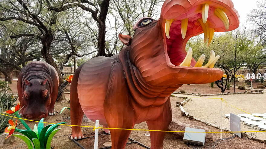 Hippos Lantern Festival
