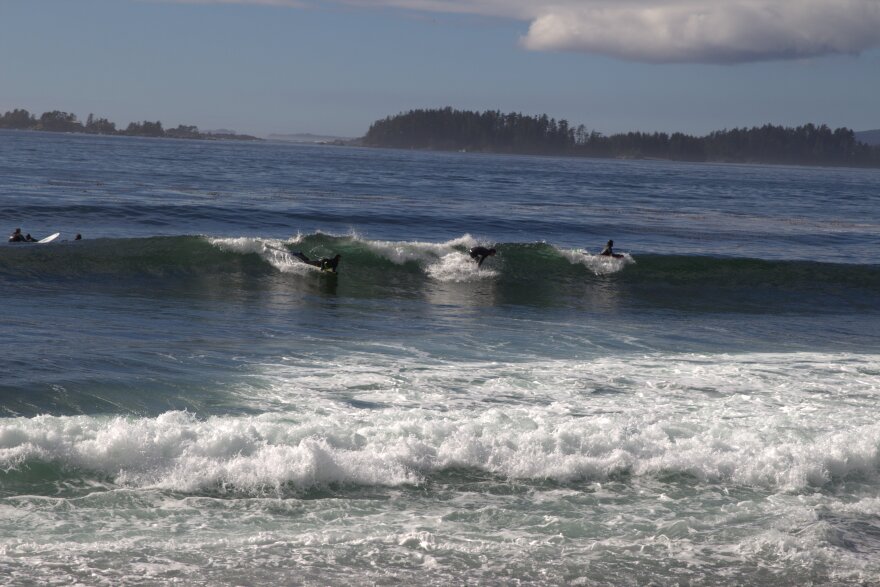 A trio of boarders ride a mellow break. (Photo by Brielle Schaeffer, KCAW - Sitka)
