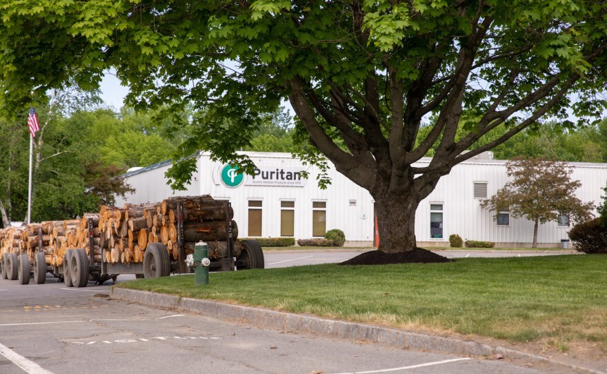 The Puritan Medical Products swab factory in Guilford.