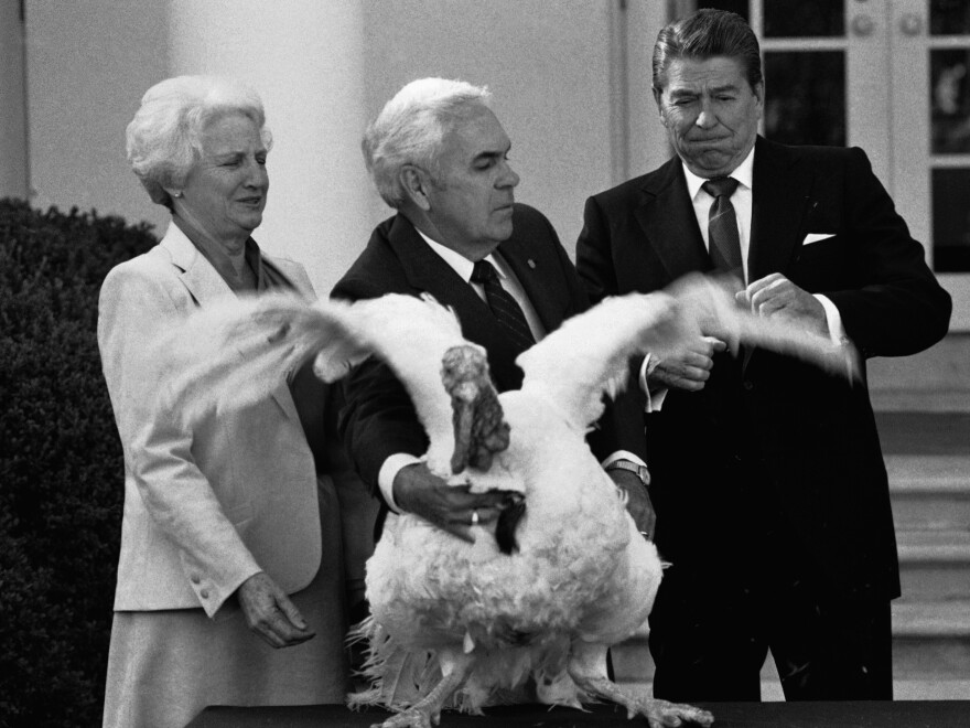 President Ronald Reagan is startled as John Hendrick (center), president of the National Turkey Federation, presents him with a turkey in 1984.