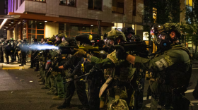 Federal police stand shoulder to shoulder holding weapons at the ready.