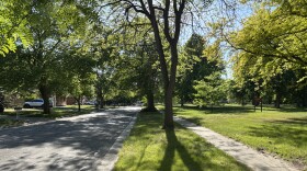 Trees provide shade on E. Sugnet Rd. near Hillgrove Park in the city of Midland on June 2, 2026.