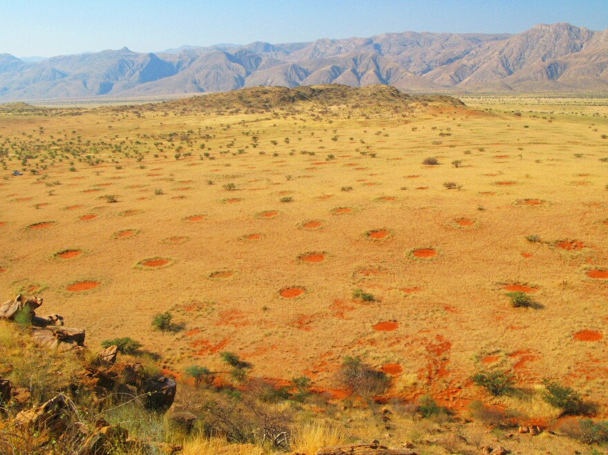 Fairy circles in the Marienfluss Valley of Kaokoveld, Namibia. In the past, people have suspected poisonous plants, seeping gas or even radiation might be behind such shapes.