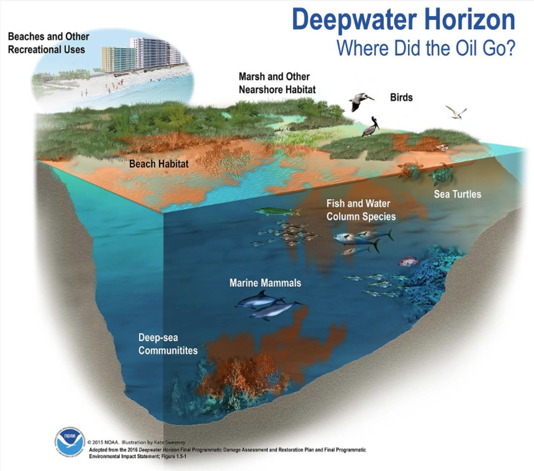 State wants feedback on environmental repairs years after Deepwater ...
