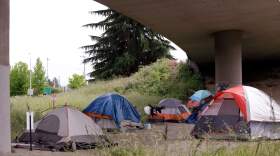 Tents line a small green space below Interstate 90 on May 17, 2016, in Seattle. (Elaine Thompson/AP)