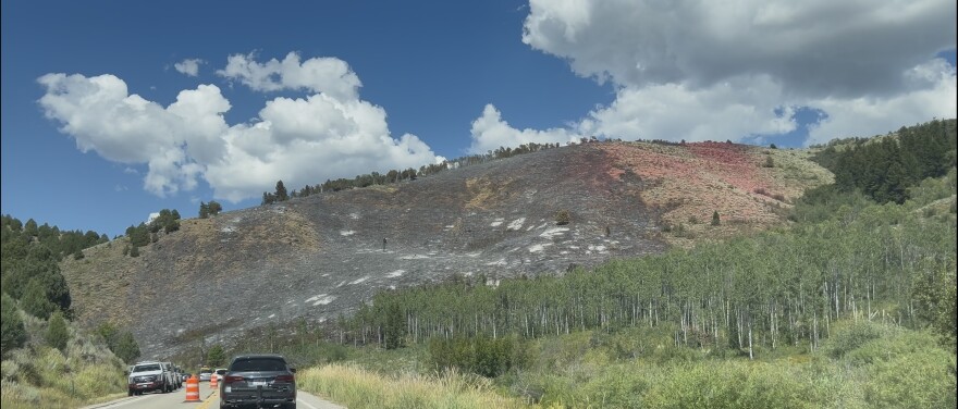A burnt mountainside stands in the distance, cars line up on the road near it.
