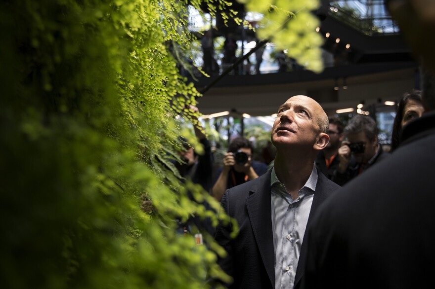 Jeff Bezos looks up at a living wall during the grand opening of Amazon's spheres in Seattle in January 