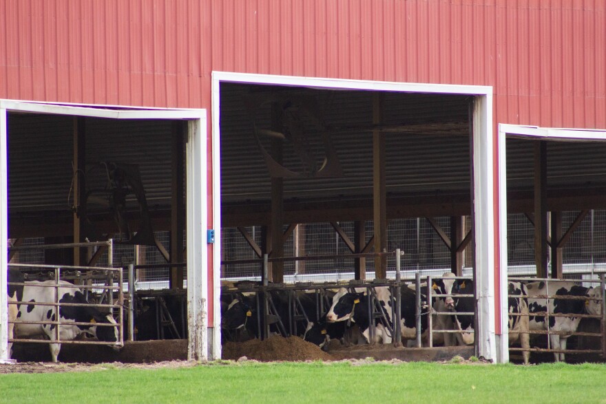 Cows are visible inside a barn