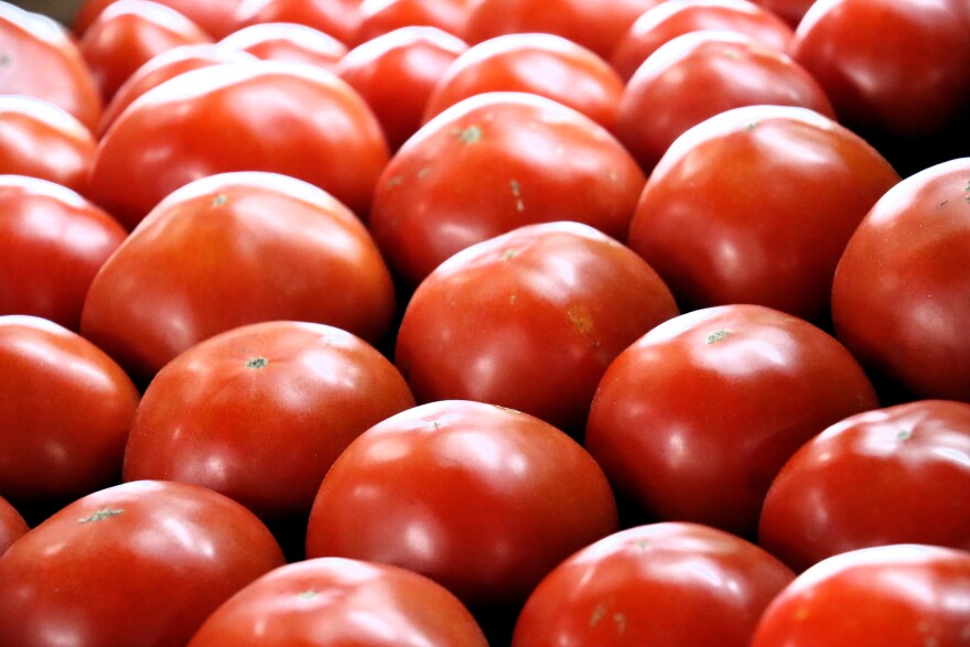 Tomatoes for sale at LaValley Farms in Hooksett, NH on June 25, 2026.