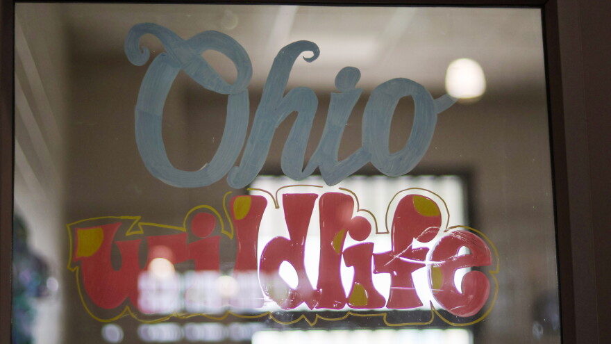 A painted sign on a glass door in a dorm at Ohio Reformatory for Women denotes the animal care room for rabbits from Ohio Wildlife Center, Oct. 15, 2026.