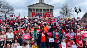 Hundreds of Tennesseans — with Moms Demand Action and 100 other groups — rallied at the capitol this legislative session, calling for gun reform.