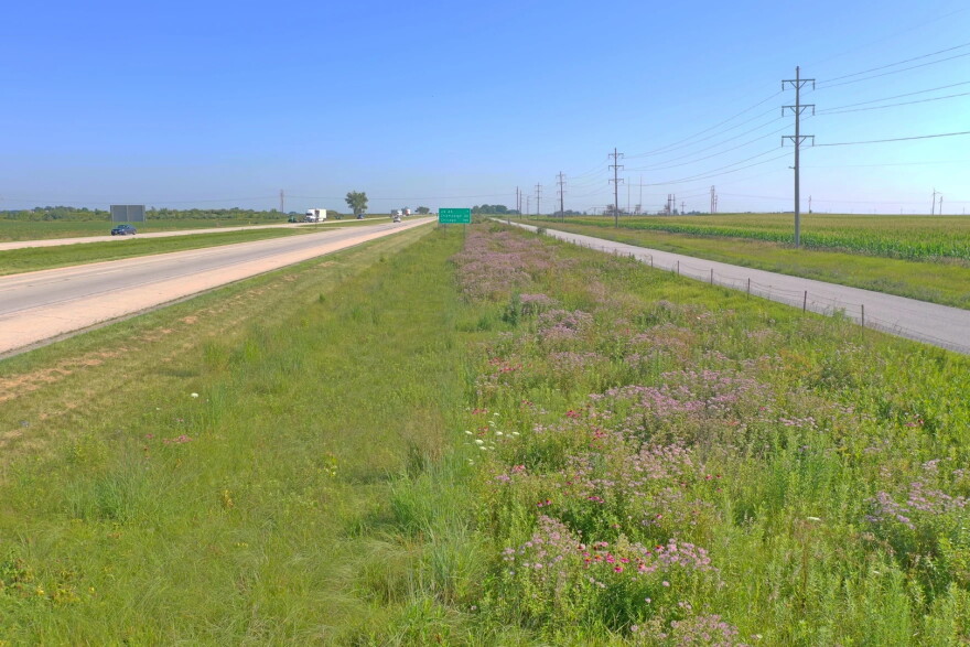Along Interstate 57 northbound near Champaign, Illinois, the Illinois Department of Transportation has mowed a swath next to the interstate for visual safety. The department typically mows one-third of the right-of-way per year for maintenance. Leaving two-thirds allows pollinators to continue using habitat and helps native seed spread.
