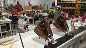 The Nokona baseball glove factory in the small town of Nocona, Texas, is one of the last remaining baseball glove factories in the U.S.