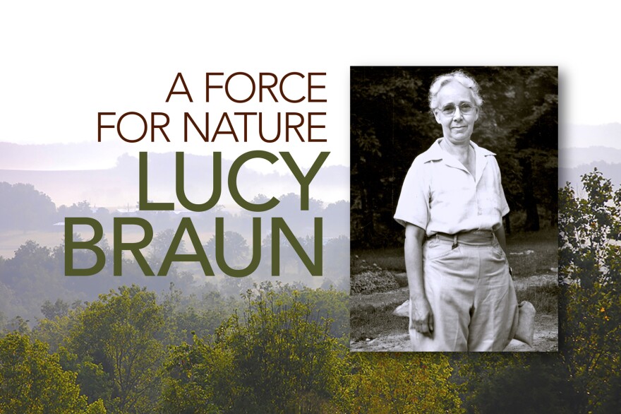 "A Force Of Nature: Lucy Braun" repeats 6 p.m. Sunday, April 7, on WCET-TV. 