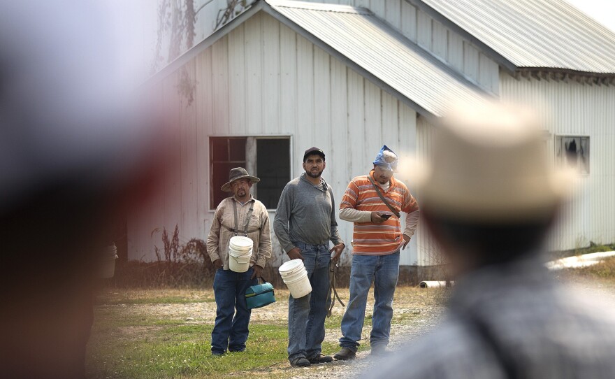 Workers at Sarbanand Farms, center, communicate with their friends and former coworkers who were fired for insubordination last week after protesting their work conditions.