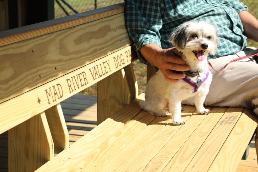 A dog sits on a wooden bench with MAD RIVER VALLEY DOG PARK inscribed on the back.