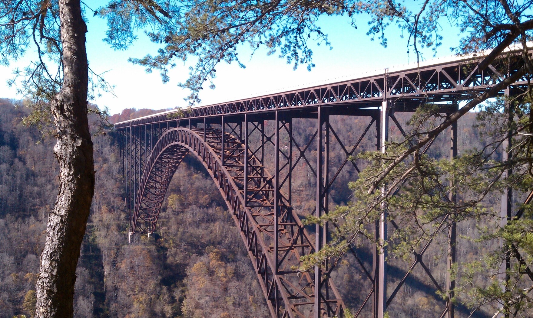 IMAG0604.jpg