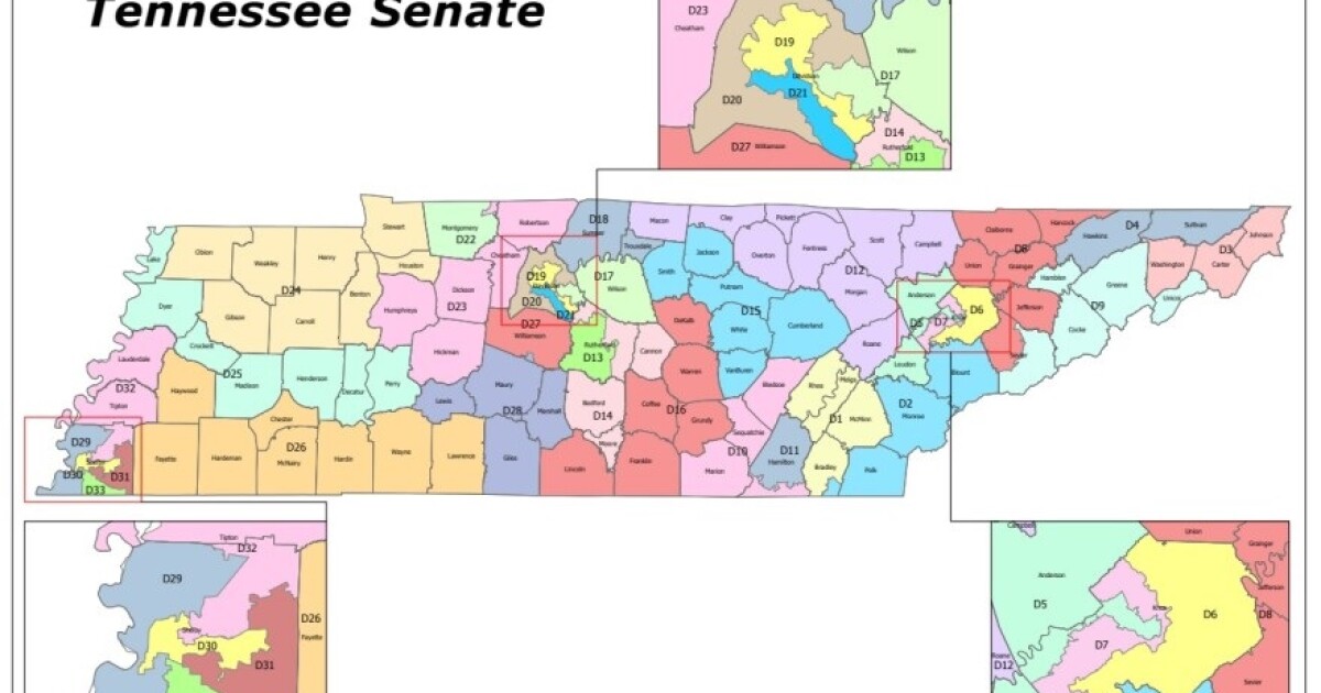 Tennessee high court reinstates contested new state Senate districts | WMOT Tennessee high court reinstates contested new state Senate districts | WMOT