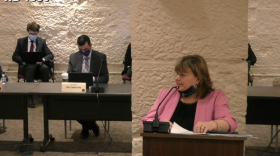 Rep. Karen Engleman (R-Georgetown) presents House Bill 1309 to the Senate committee on Pensions and Labor.