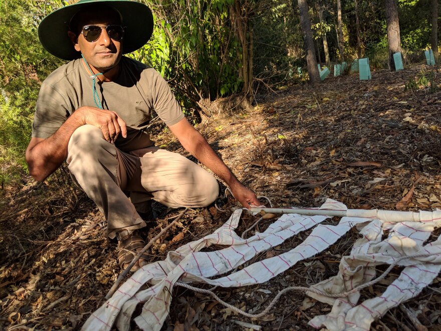 Ram Raghavan started researching ticks more than 16 years ago when he learned that a seven-year-old child died from Rocky Mountain spotted fever, a tick-borne disease. His daughter was seven too, and he believed – and still does – that nobody should die from a tick bite.
