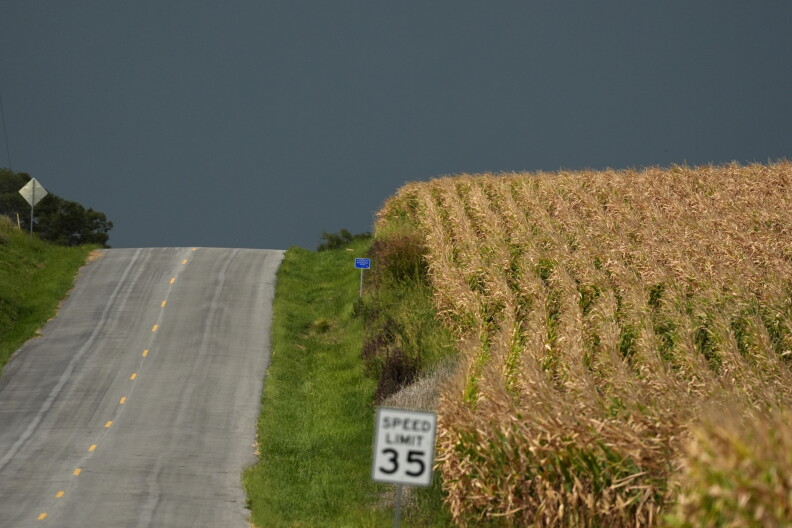 Storm clouds build above a corn field.