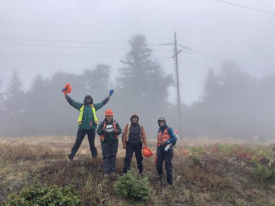 Cal Poly Humboldt researchers conduct field research in a foggy field along a powerline corridor in Northern California. Photo courtesy of Lucy Kerhoulas.