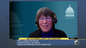 Democratic Rep. Laurie Dolan from Olympia has sponsored a bill to stabilize school district budgets.