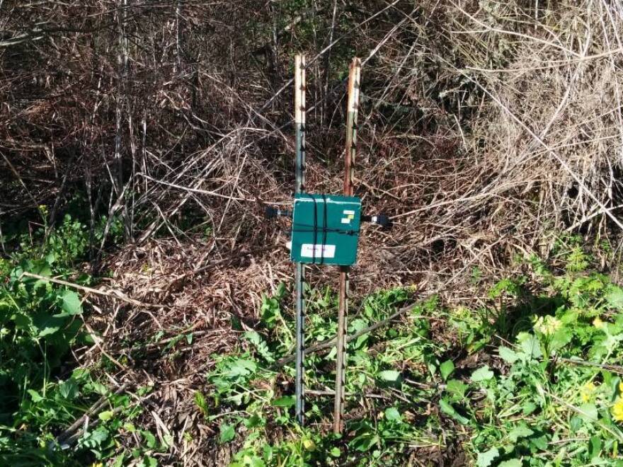 Conservation Metrics uses song meters to record red-legged frog calls.