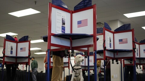 a white dog stands at a woman's feet, her body hidden by a voting booth divider 