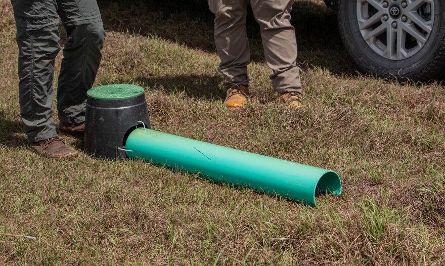 This artificial burrow was buried near an existing burrow left vacant by other owls.
