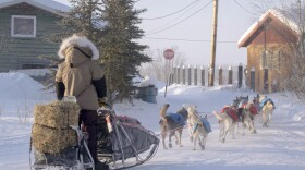 Yukon Quest frontrunner Josi Shelley mushes out of Fort Yukon at about 11:30 a.m. on Feb. 10, 2026.