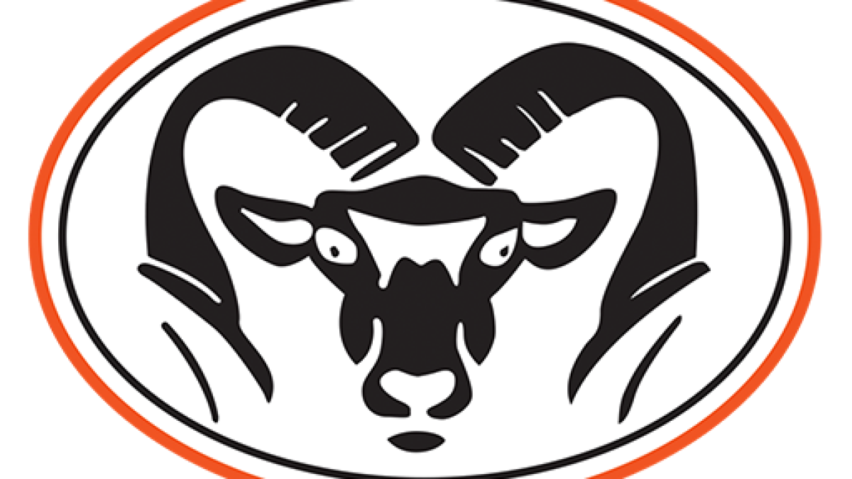 Rockford Public Schools Board censures member after race-based harassment complaint