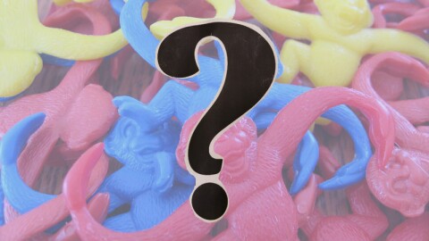 A pile of red, yellow, and blue plastic toy monkeys with a question mark in the foreground