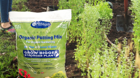  Ambridge-based PittMoss makes peat-free soil by using recycled paper and cardboard.