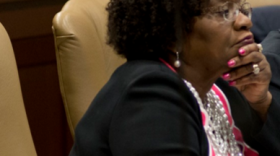 File. State Sen. Linda Chesterfield (D-Little Rock).