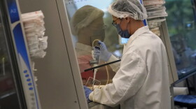 A scientist works in a cellular agriculture lab in Alameda, California, in June 2023.