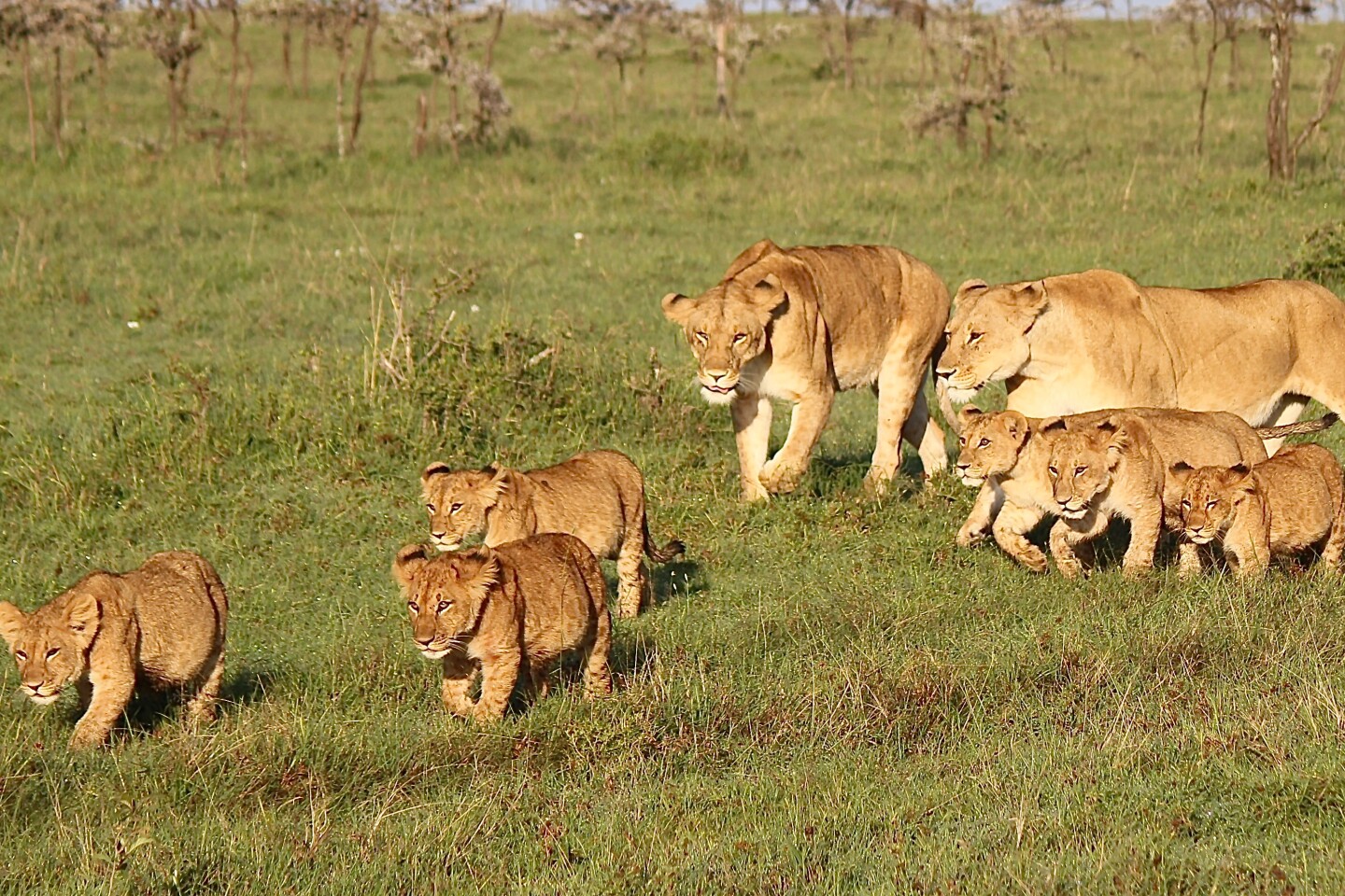 South Africa Trip 2024 | WBGO