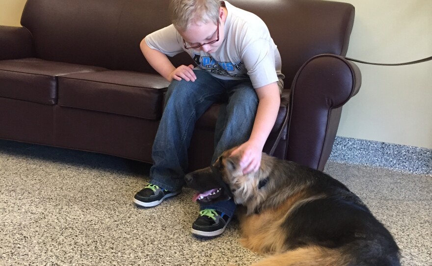 4 Paws for Ability