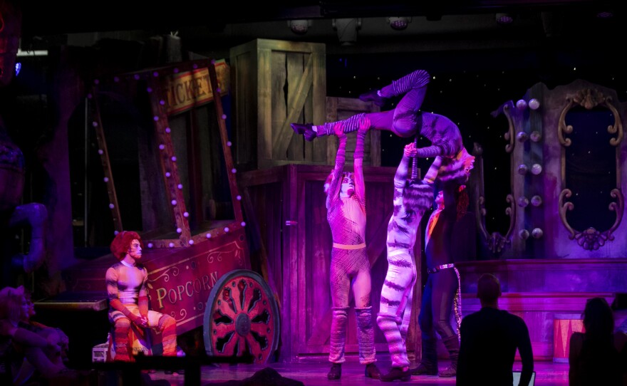 Cast members of CATS perform during a dress rehearsal on Wednesday, Feb. 18, 2026, at Broadway Palm Dinner Theater in Fort Myers.