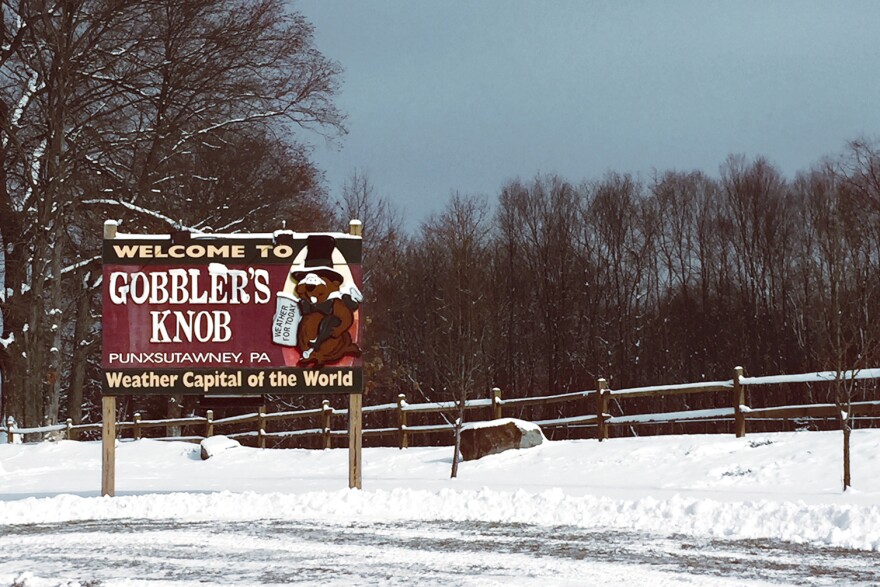 Gobbler's Knob, a clearing outside Punxsutawney, Pa., is the site of the annual Feb. 2 event, where Phil the groundhog predicts whether there will be an early spring or six more weeks of winter.