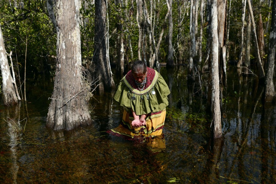  Betty Osceola in the water of the Everglades