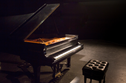 Pianorama_steinway on dark stage.png