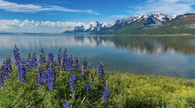 A mountain scene behind a lake with some wildflowers on the bank.