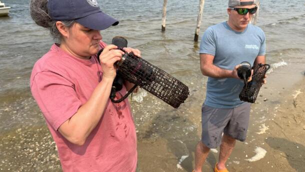 WHOI Research Associate Andria Salas and Senior Scientist Aran Mooney inspect underwater recording devices called SoundTraps after retrieving them from Tisbury Great Pond on Martha’s Vineyard. July 15, 2026 (Barbara Moran/WBUR)