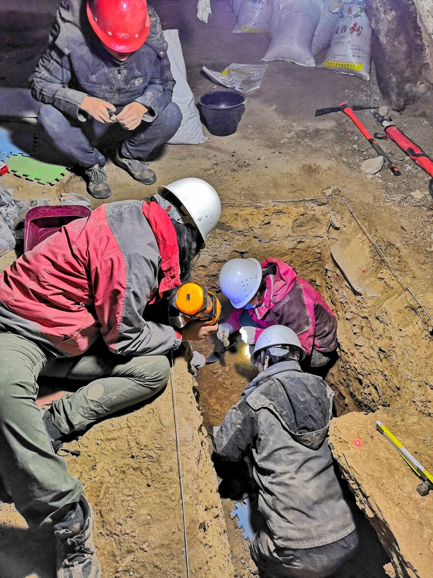 A team led by Dongju Zhang (top right in the trench) excavated trenches in Baishiya Karst Cave in 2018.