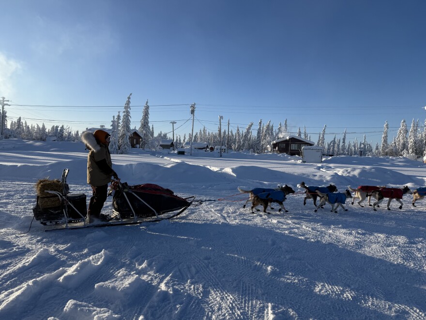Josi Shelley departs Circle City to mush along the Yukon River to the next checkpoint at Fort Yukon.