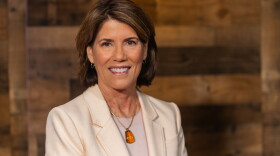 Helena Foulkes is projected to oust incumbent Gov. Dan McKee in the Democratic primary. Credit: Ocean State Media